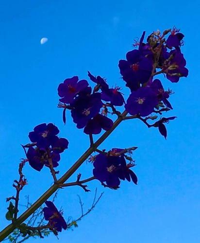 Apartamento Vive Jard�n En Casablanca