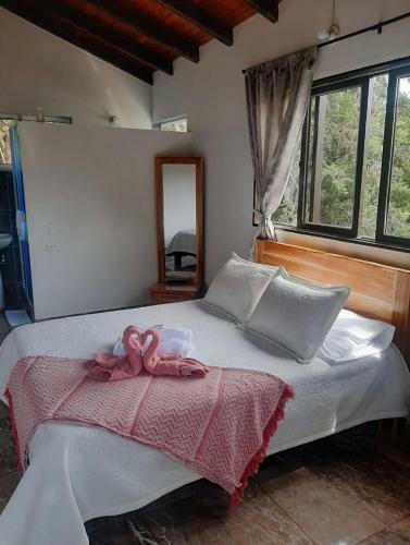 Hotel El Potrillo