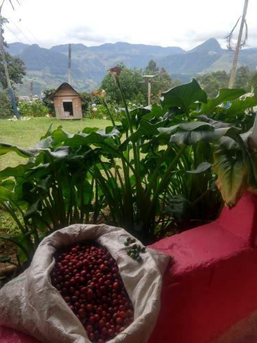 Finca Cafetera El Coral
