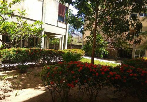Apartamento Gigantepraia Futuro
