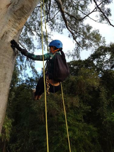 Camping S�tio Guimar�es