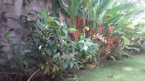 Casa Da Vivi Km.6