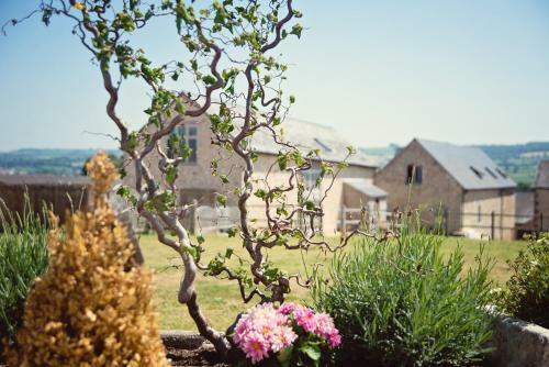 Cranberries Luxury Hideaway