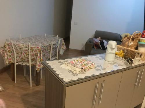 Apartamento Itanha�m