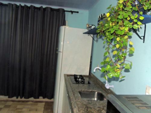 Apartamento Apto 1 Dorm. Pr�ximo A Praia