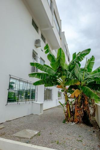 Apartamento Rec�m Reformado E Bem Decorado