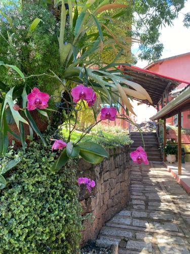Apartamento Flat 44 - Hotel Vista Bela