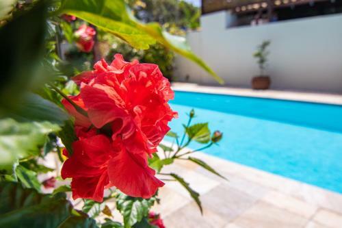 Casa Agrad�vel Com Piscina E Churrasqueira !