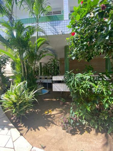 Apartamento Ap. 11 Pitangueiras