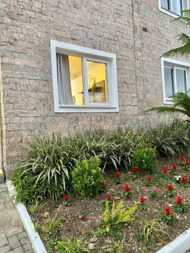 Rosa Casa Villa Mariana