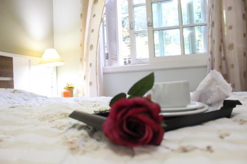 Rosa Apartamento Arauc�rias 203