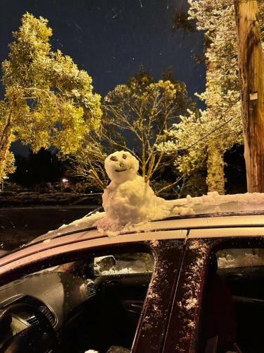 Este Amplo E Charmoso Apartamento Espera Por Voc�!