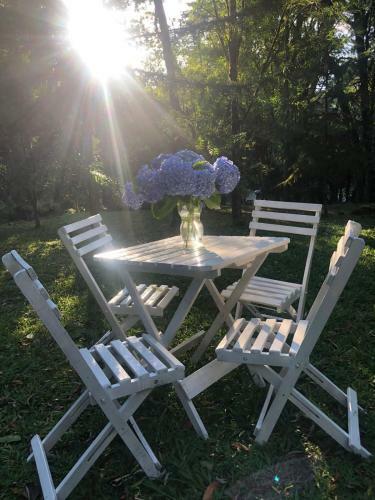 Casa Do Bosque, Confort�vel, Em Local Espetacular!