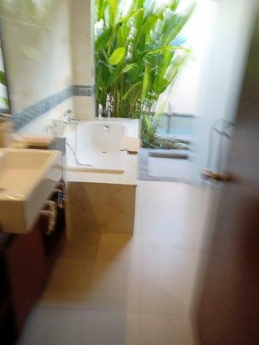 Apartamento Two Bed Room And One Bed Room Private Pool