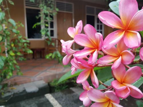 Hostal Omah Konco Yogyakarta
