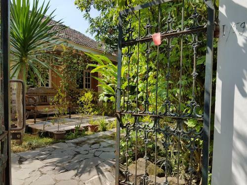 Hostal Omah Konco Yogyakarta