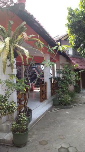 Hotel Seno