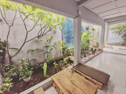 Hostal Reeneo Guesthouse