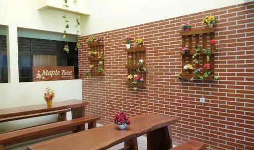 Albergue Maple Tree Homestay