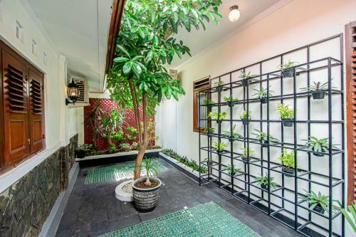 Hostal Roemah Noni Macanan