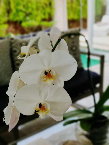 Lodge Villa Putih Berawa