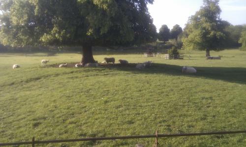 Bed & Breakfast Murcott Mill