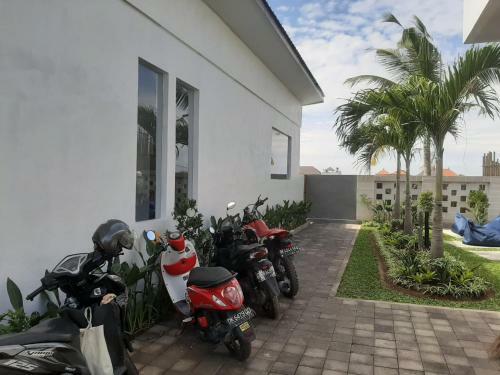 Hostal Bonewood Guesthouse