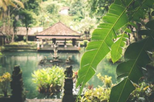 Beautiful Villa With Private Pool, Bali Villa 2012