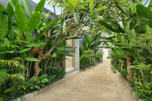 Villa Astera Canggu