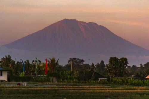 Villa Mare Surf By Hombali
