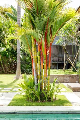 Luxury Villa Arta Seminyak