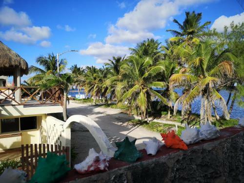 Bed & Breakfast Xcalak Caribe Lodge
