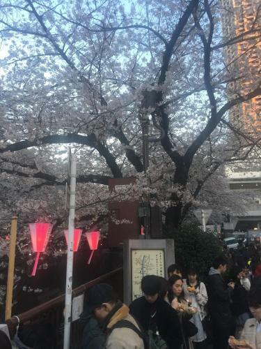 Apartamento Coco Nakameguro?