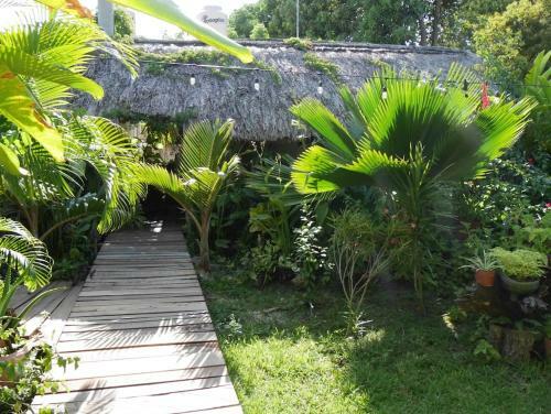 Posada Ixchel