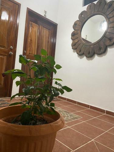 Apartamento Casa Choco