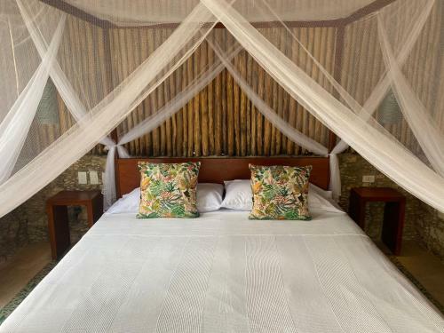 Bed & Breakfast Pi�a Coloradas Ecolodge