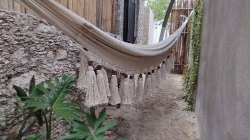 Bed & Breakfast Pi�a Coloradas Ecolodge