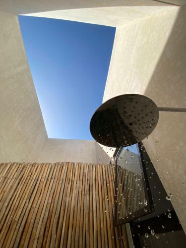 Bed & Breakfast Pi�a Coloradas Ecolodge
