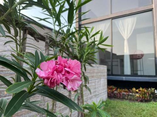 Apartamento Casa Quinciga