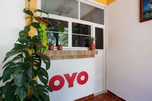 Oyo Hotel Posada Las Torres