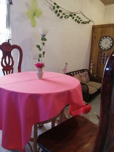 Casa Cats