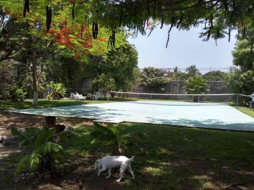 Quinta Lachaud