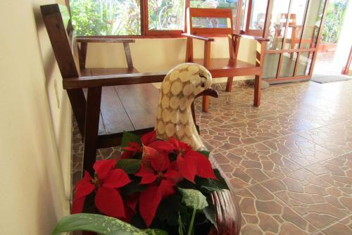Hotel Nicte-ha