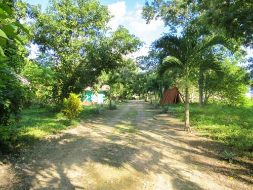Lodge Caba�as Calakmul