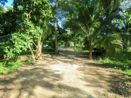 Lodge Caba�as Calakmul