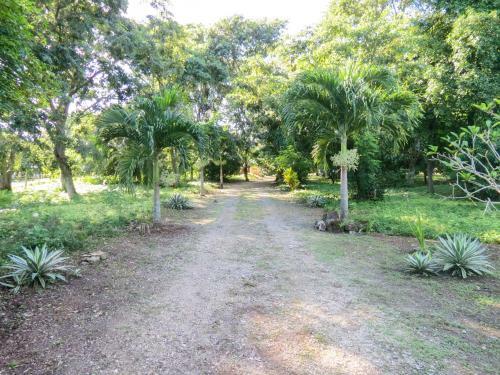 Lodge Caba�as Calakmul