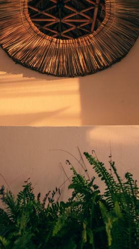 Hotel Casa Kuaa