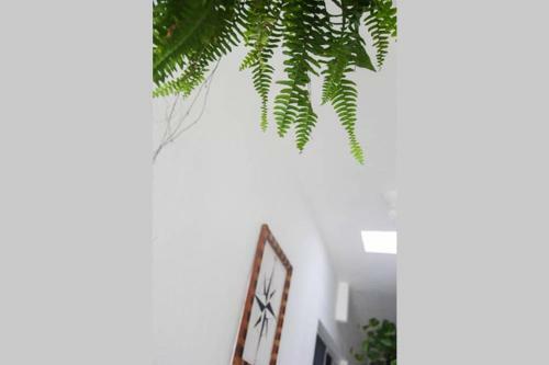 M&m Apartments Holbox
