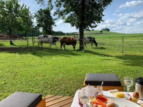 Apartamento Ferienwohnung-m�hlviertel