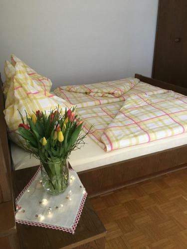 Apartamento Appartements Caroline